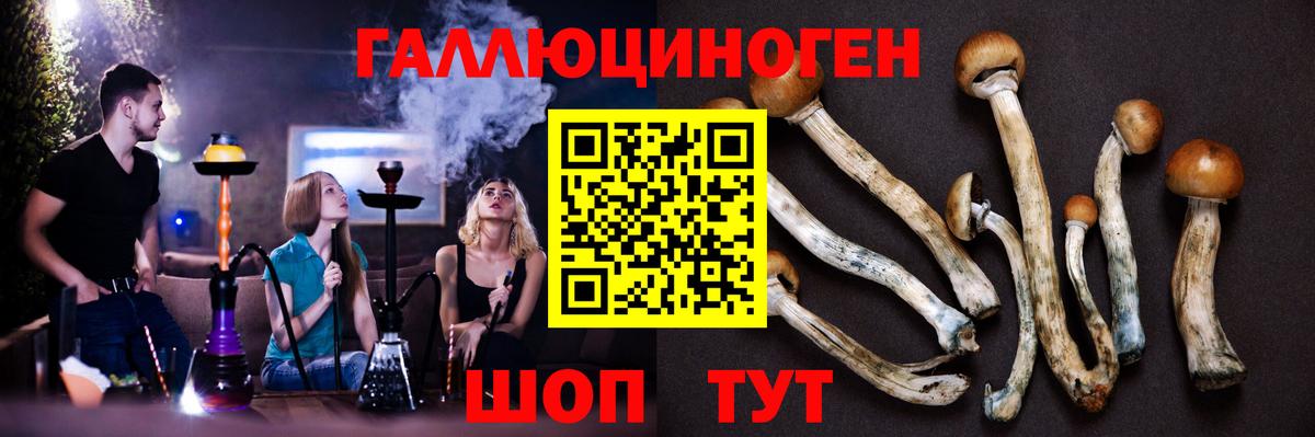 цена наркотик  Псилоцибиновые грибы GOLDEN TEACHER  Вход с VPN  Кохма 